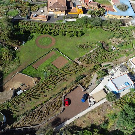 Ek Drago Finca El Milagro La Orotava Bagian luar foto