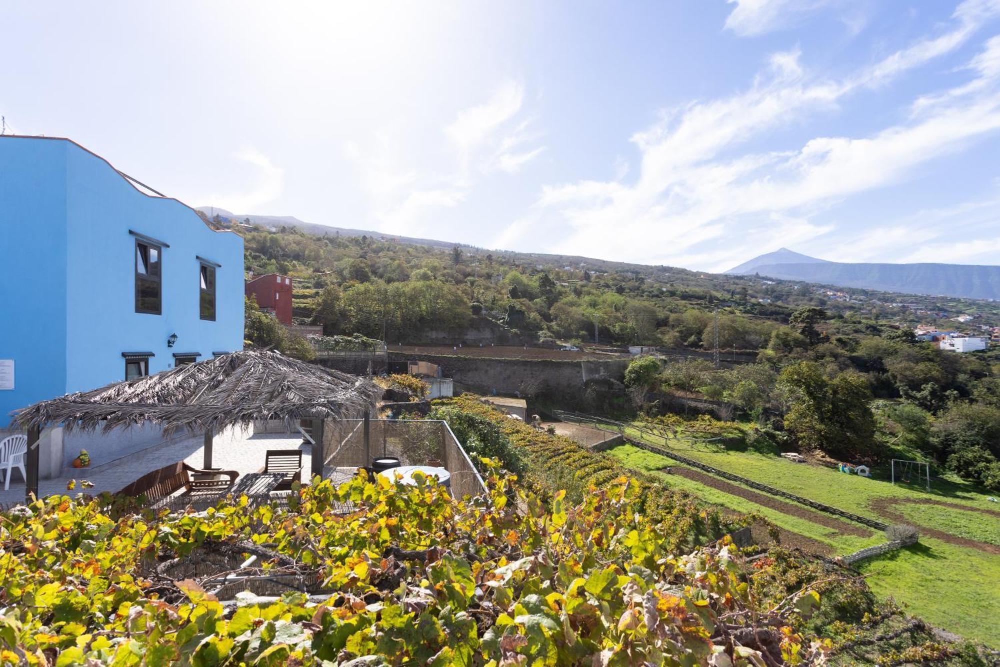 Ek Drago Finca El Milagro La Orotava Bagian luar foto