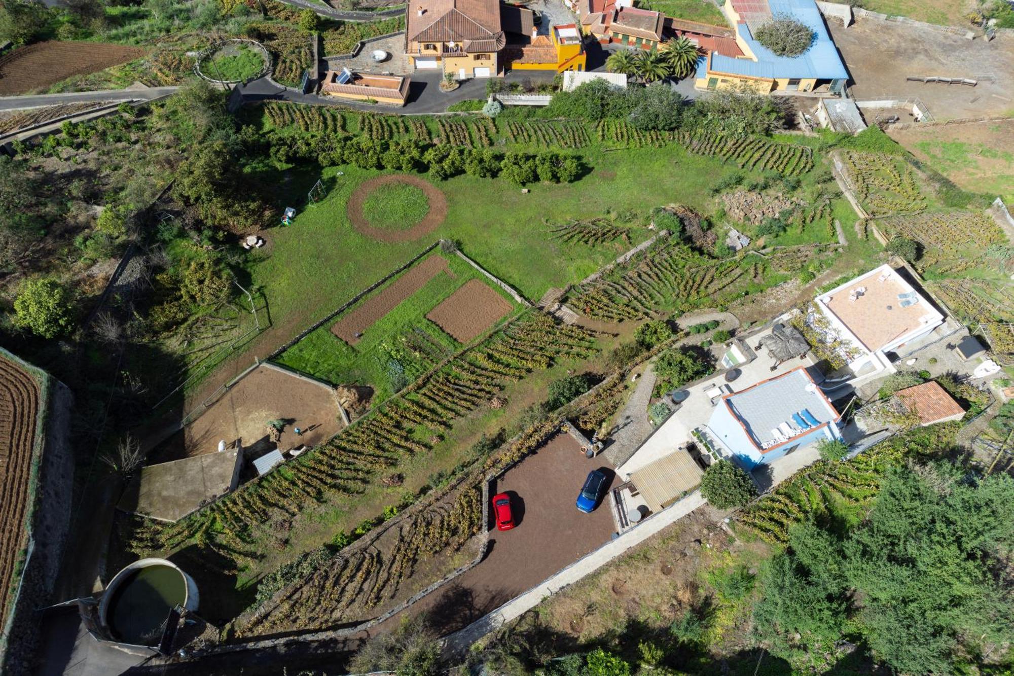 Ek Drago Finca El Milagro La Orotava Bagian luar foto