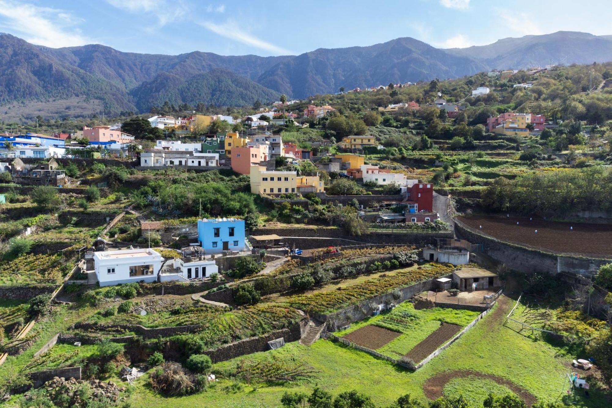 Ek Drago Finca El Milagro La Orotava Bagian luar foto