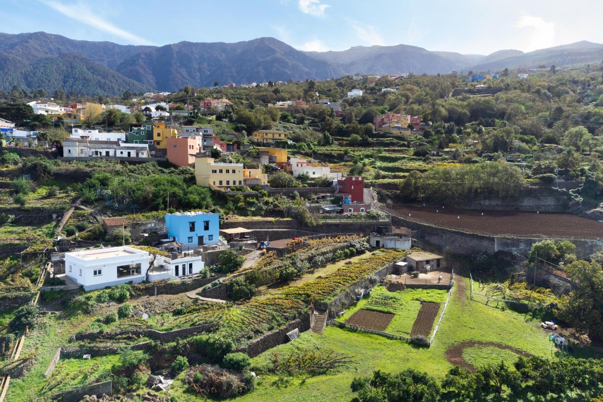 Ek Drago Finca El Milagro La Orotava Bagian luar foto