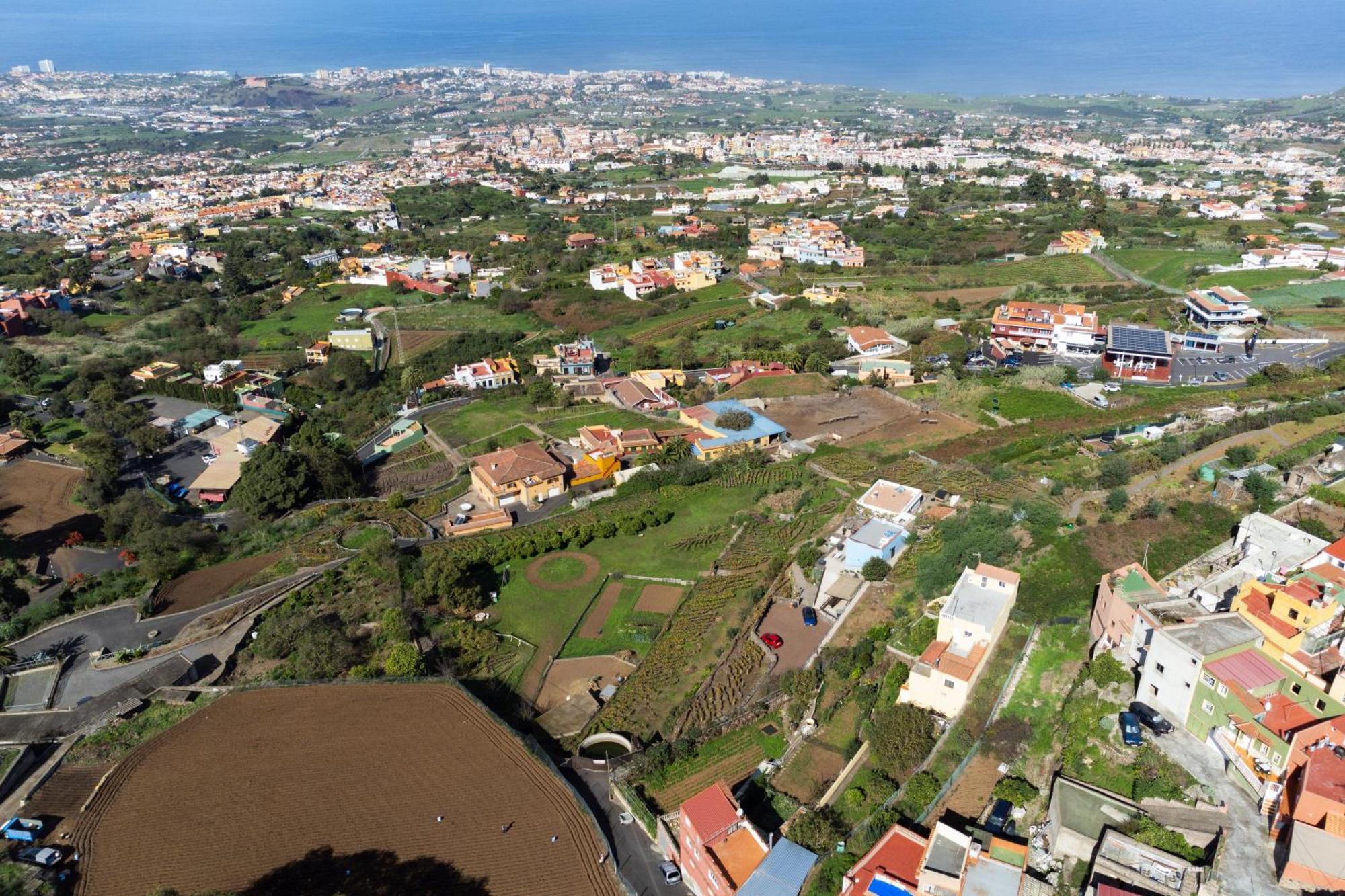 Ek Drago Finca El Milagro La Orotava Bagian luar foto
