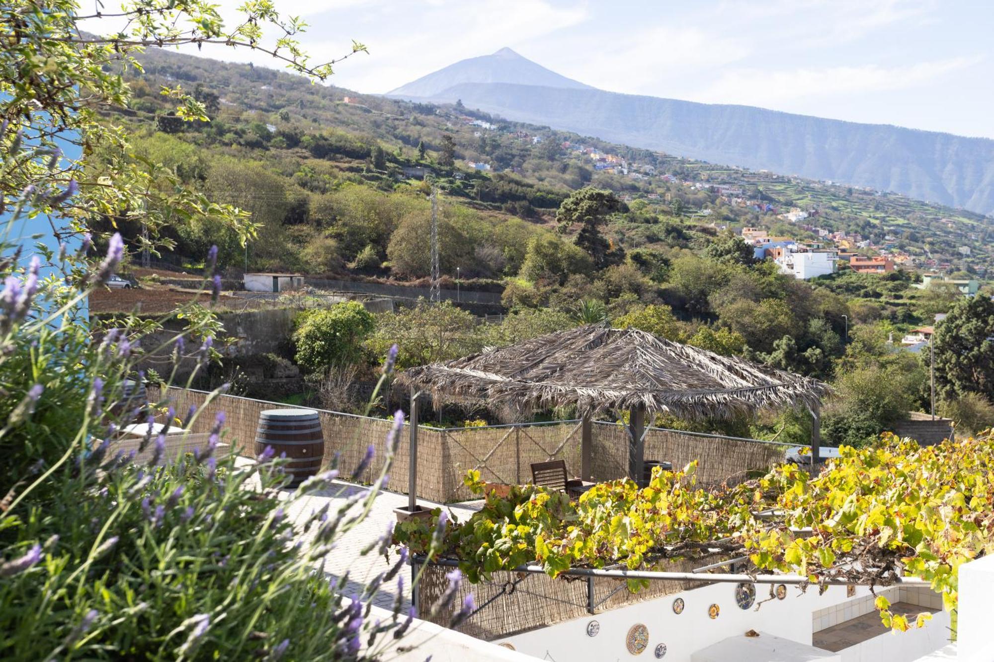 Ek Drago Finca El Milagro La Orotava Bagian luar foto