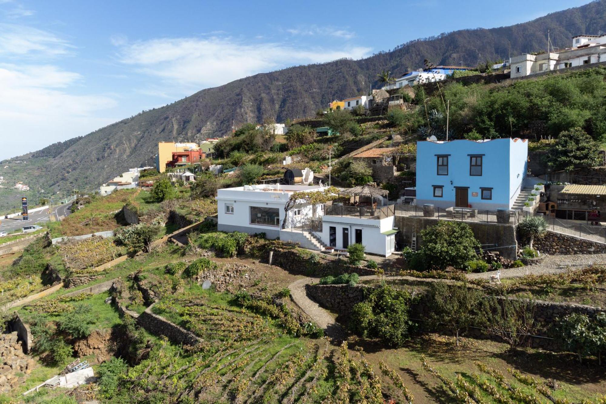 Ek Drago Finca El Milagro La Orotava Bagian luar foto