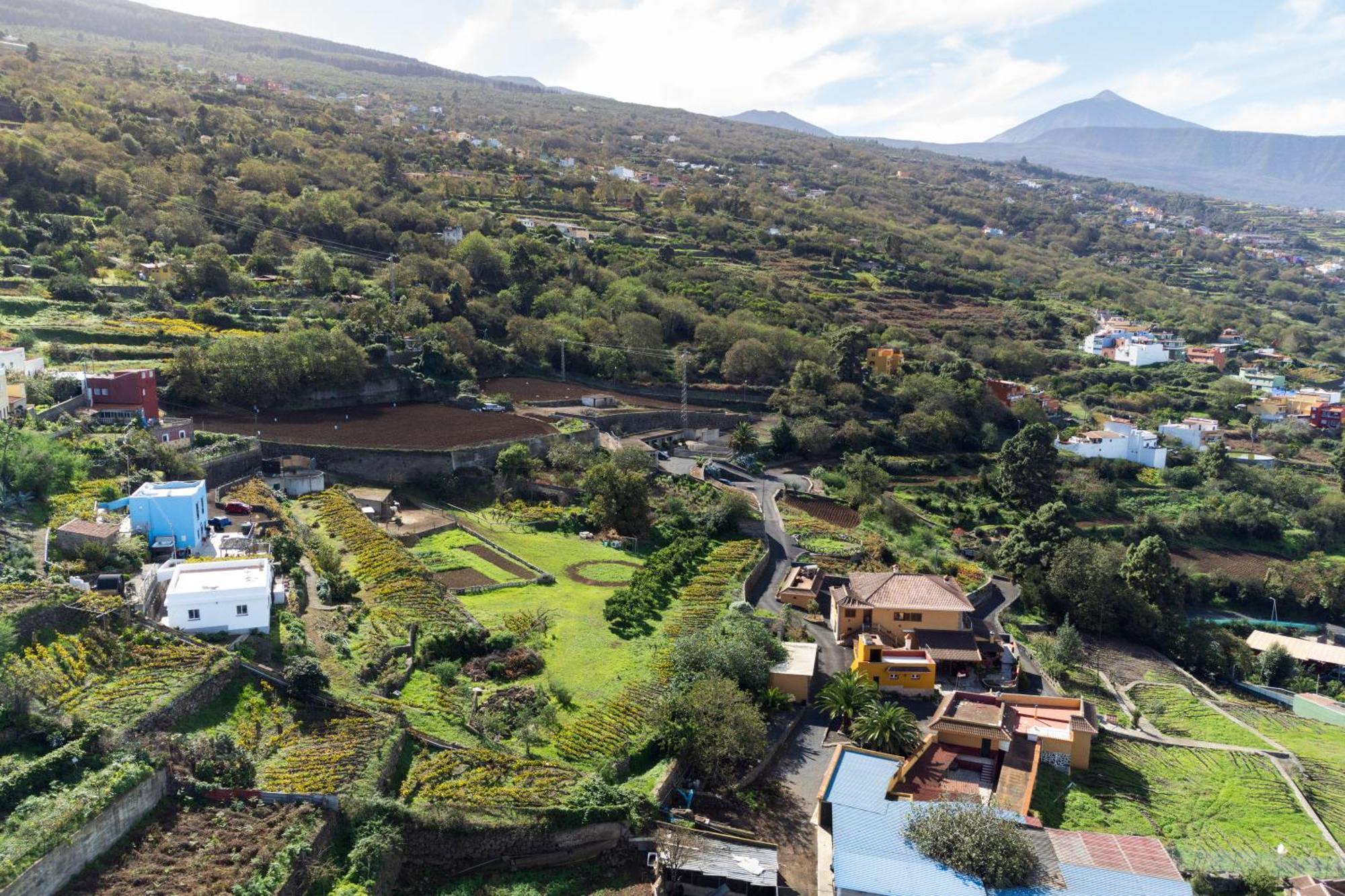 Ek Drago Finca El Milagro La Orotava Bagian luar foto