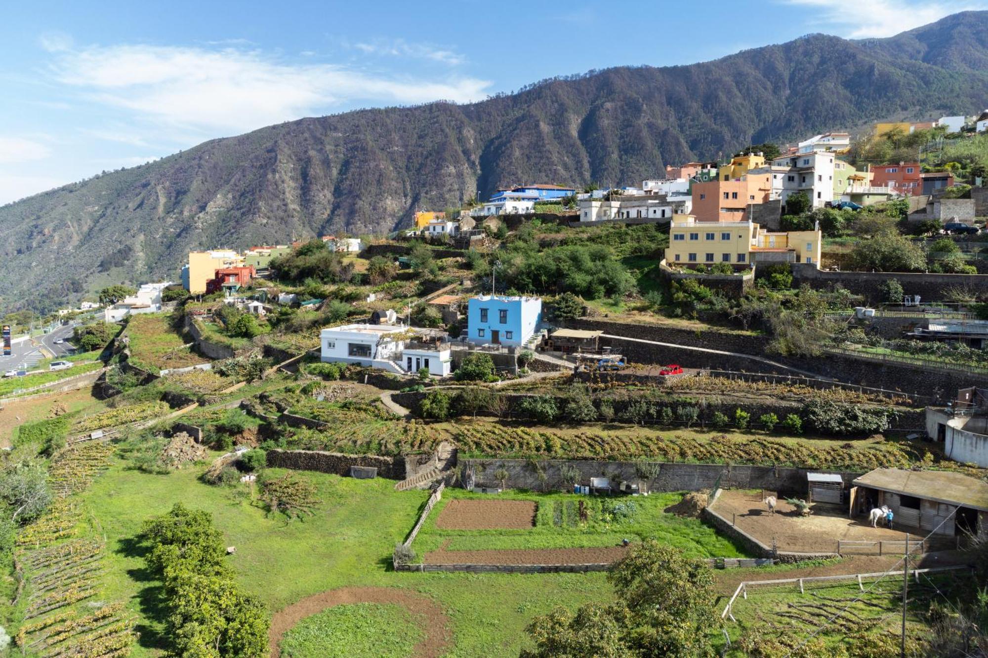 Ek Drago Finca El Milagro La Orotava Bagian luar foto